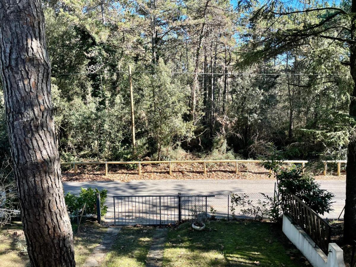Villa Antonietta 3, Tra Pineta E Mare Bibione Luaran gambar